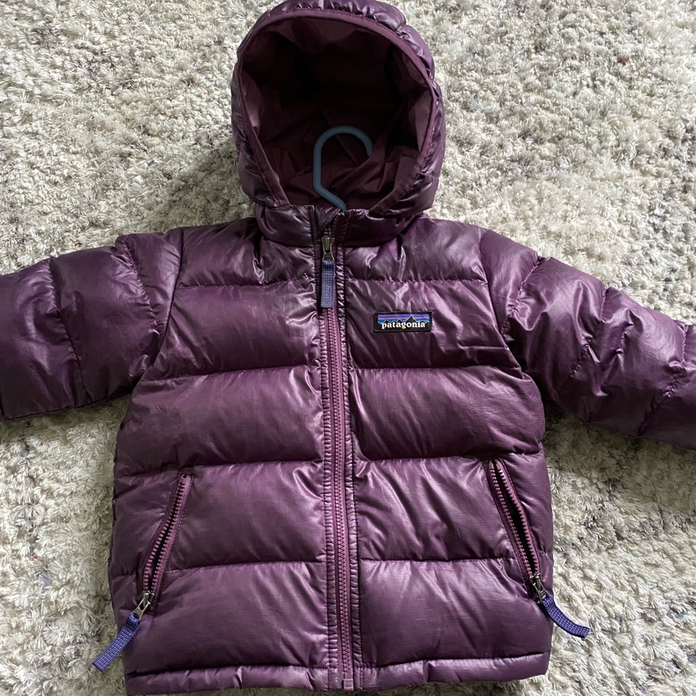 Patagonia hi loft down sweater hoodie